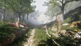 Forest - Unreal Engine 4 and Quixel Megascans