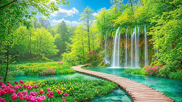 Beautiful Relaxing Music - Stop Overthinking, Stress Relief Music, Sleep Music, Calming Music #178
