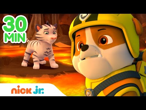 Rubble Rescues Baby Animals! 🐯 w/ PAW Patrol Chase & Zuma | 30 Minute Compilation | Rubble & Crew