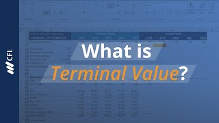 What is Terminal Value?