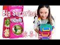 Surprise My Kids With Their School Lunch Box Look Where We Are Eating 