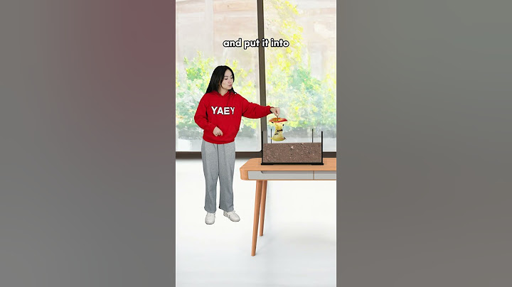 How to Get Free Chocolate