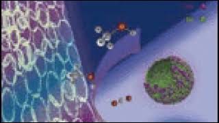 Journal of Materials Chemistry | Wikipedia audio article