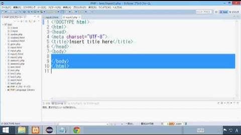 【Webプログラミング講座（PHP）】第14回 サニタイズ(無毒化)について【独り言】