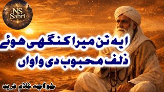 Tan Mera Kanghi Hove Khwaja Gulam Fareed Ns Sabri