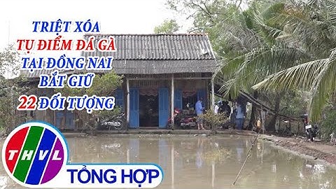 Triệt xóa tụ điểm đá gà ăn tiền tại Cà Mau, bắt giữ 22 đối tượng