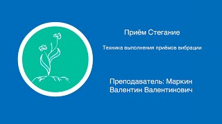 Приём стегание | Техника выполнения приемов вибрации в массаже