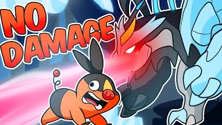 Can you beat Pokemon Black 2 without taking Damage?