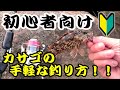 【誰でも簡単】カサゴ（ガシラ）の手軽な釣り方を紹介します！！　堤防や漁港からの…