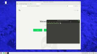 WeChat web for Linux | Downloading and Installation | Sindhi #linux #linuxmint #wechat screenshot 4