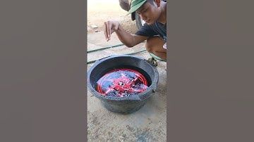 Thumbnail of remove paint velg VND jadi chroom🔥 #music #musicgenre #vario