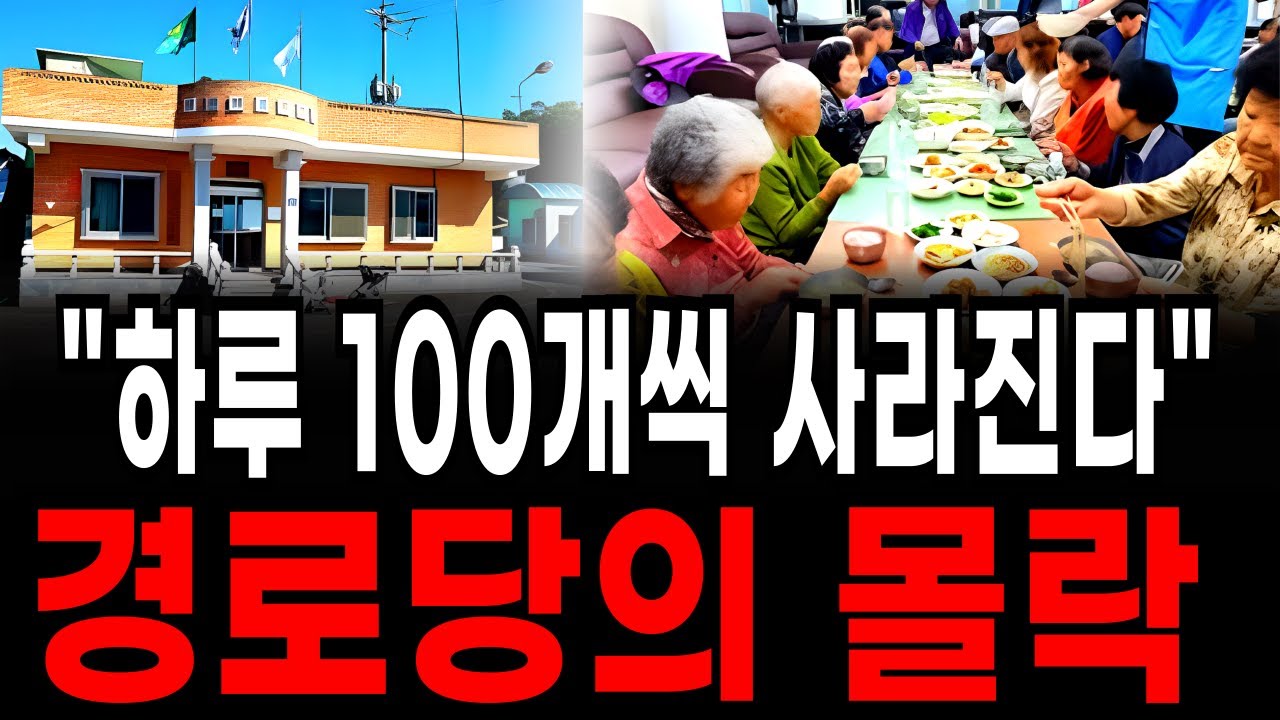 회비 내라, 청소해라 경로당 손절하고 70대가 스타벅스 구석자리로 숨어드는 진짜 이유