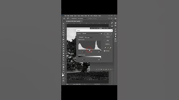 How to select a Tree using Channels in Photoshop | #shorts