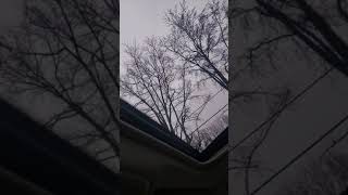 cx5  rental review