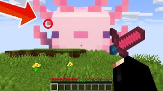 Minecraft Manhunt, ale jsem AXOLOTL