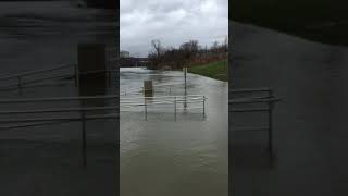 Risen water levels in the Cumberland River!