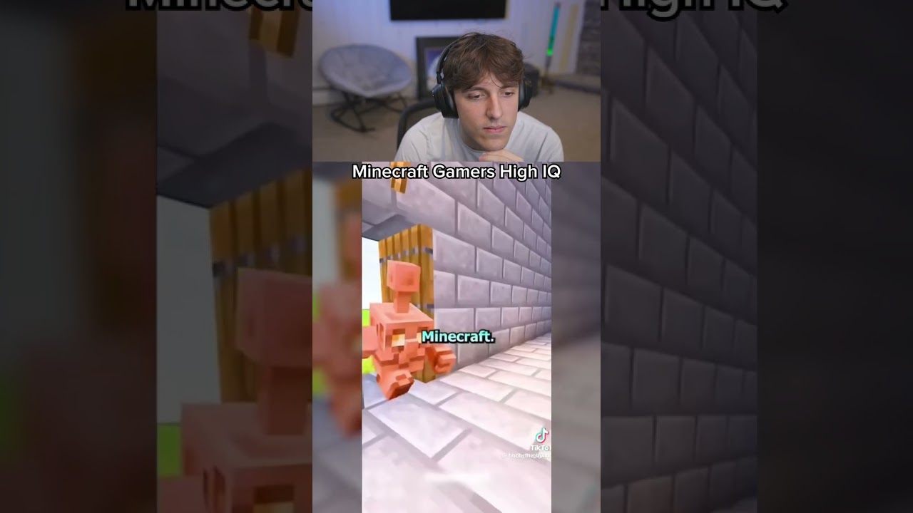 Minecraft Gamers High IQ
