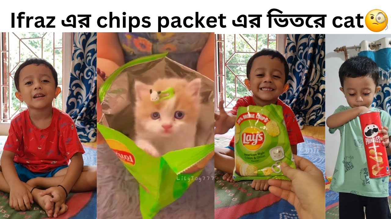 Ifraz এর chips packet এর ভিতরে cat 🧐 কি করছে #youtubeshorts #youtubevideo