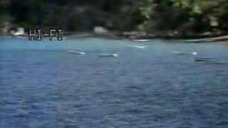 Trinidad & Tobago Tourist Video (1984) Part 5 (FINAL)