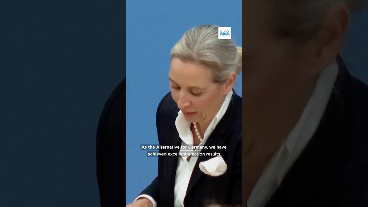 AfD, co-leader Alice Weidel said the party had achieved "excellent results"