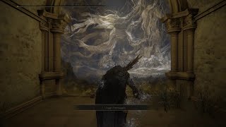 When You Come To Fight Malenia But Elden Ring Warns You