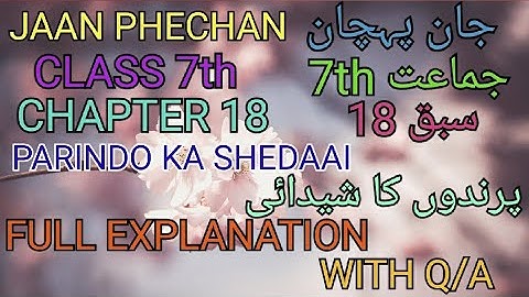 URDU|Jaan Phechan || Class 7th || Chapter 18 || Parindo Ka Shedaai || Full Explanation With Q/A ||