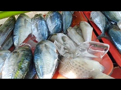 Rides nanaman bibili lang ng isda...