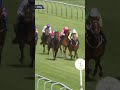 Senorita Bonita makes winning debut ✅