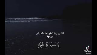يارب احلامنا Youtube