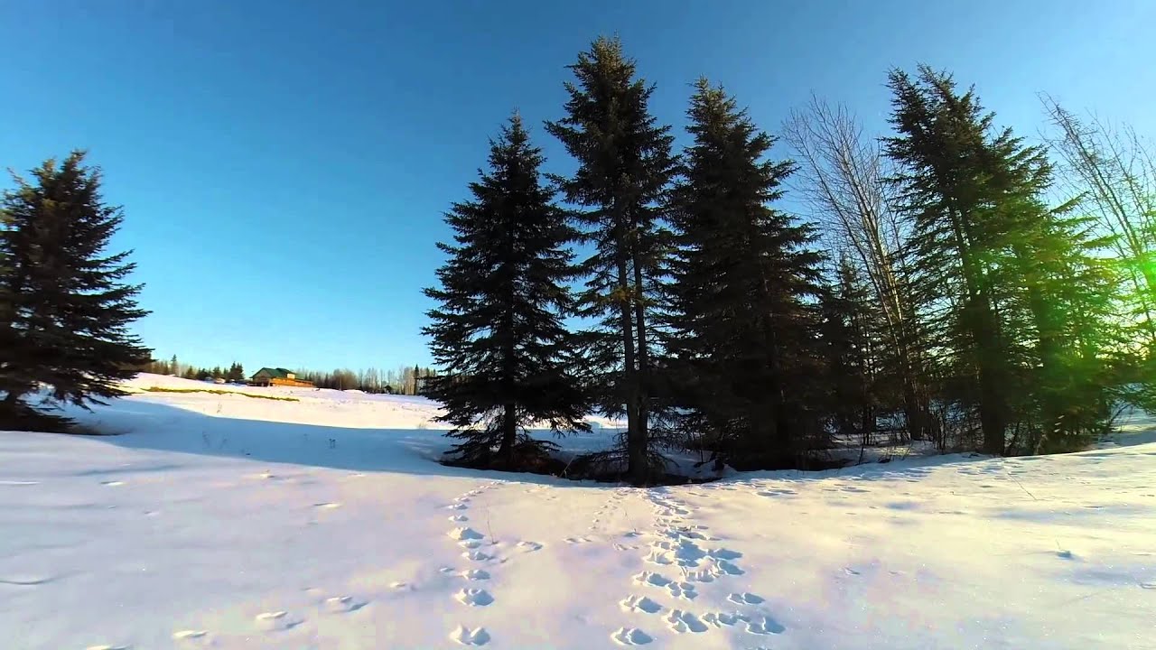 Alaska 2015 Chandalar Ranch Snow Tracks + Our Room YouTube