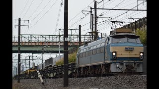 8090レ EF66-30牽引(スーパーイベントHM付き)静岡貨物〜草薙駅通過【汽笛あり！】
