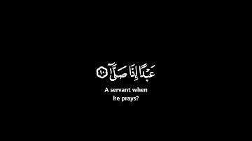 سورة العلق | المنشاوي كروما