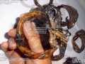 Gelang Kayu AKAR BAHAR MERAH Ukir Naga