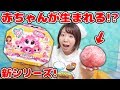 謎の毛玉から赤ちゃんが生まれる!?海外で人気のサプライズトイが可愛すぎた！【WHO are YOU ふーあーゆー 新シリーズ】