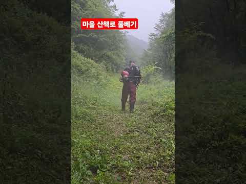 뱀출현 <strong>산책길</strong> 예초작업 ᆢ