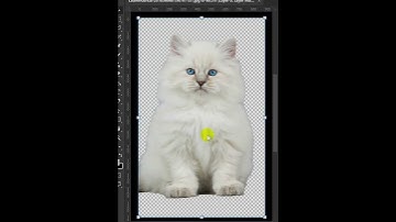 Hidden selection techniques #photoshop #photoshoptutorial #shorts