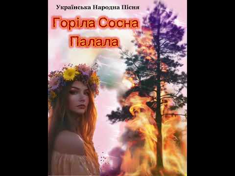 Горіла Сосна Палала Українська народна пісня у сучасній обробці R B народнапісня українськіпісні