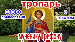 Тропарь святому мученику Трифону аудио молитва с текстом и иконами