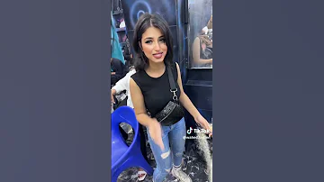 قراميط قرميط والهلفيت عملين مظابيط 
