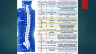 INTRODUCTION TO CHIROPRACTIC