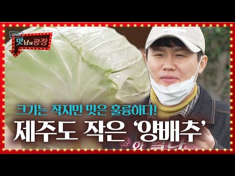 양세형, 작은 양배추 단맛 매력에 취향저격♥ㅣ맛남의 광장(A Palatial Residence)ㅣSBS ENTER.