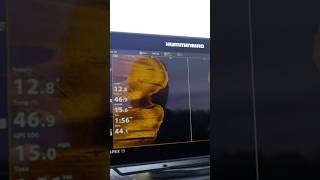 Side Scan At 15 Mph???