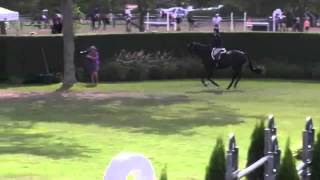 Video Of Choco Mousse Ridden By Alicia Nisberg From Shownet