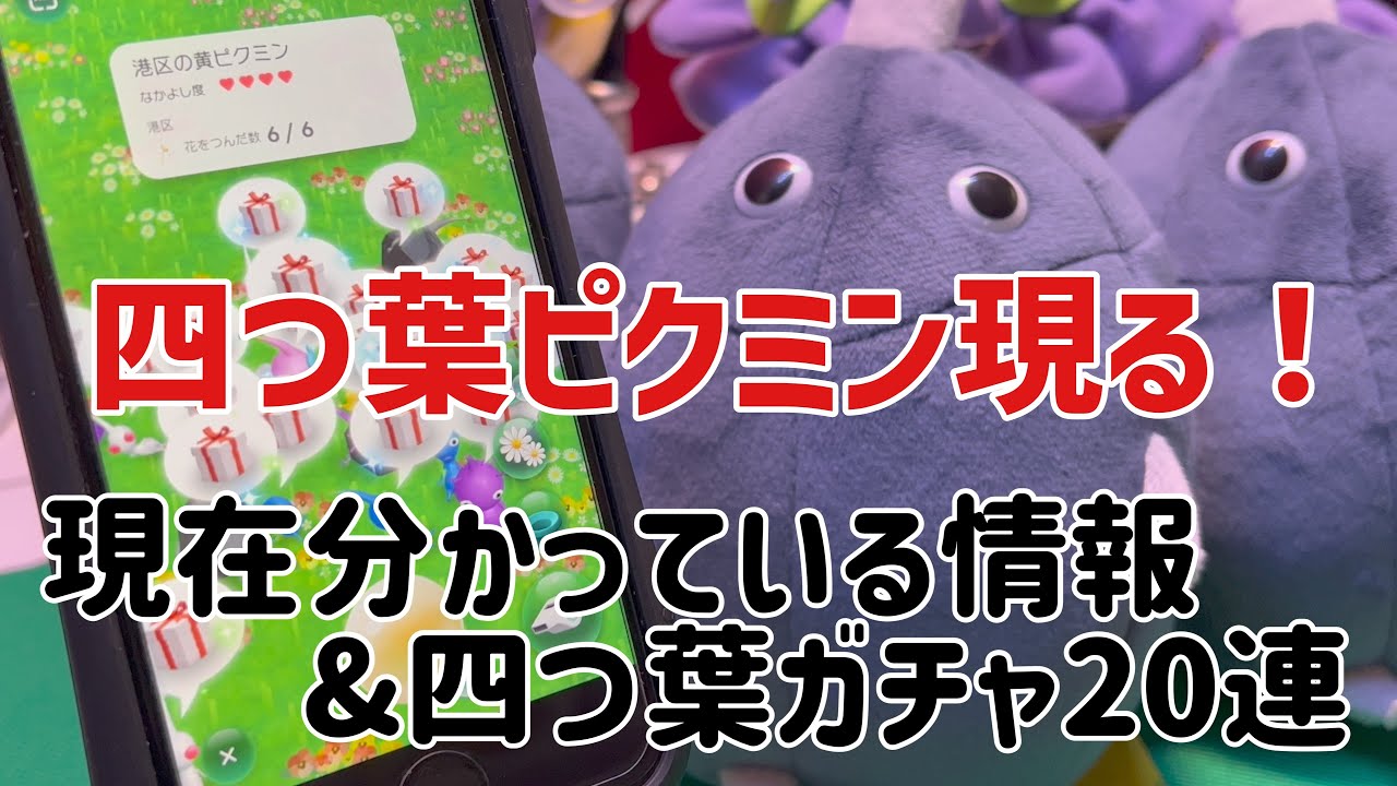 A four-leaf clover Pikmin has appeared!! Information summary and a