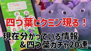 A four-leaf clover Pikmin has appeared!! Information summary and a
