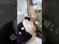 社長にだけデレるのりへい、確信犯的な可愛さです……。⁡⁡#猫のいる職場 #上司と部下 #猫 #おすすめにのりたい #猫のいる暮らし