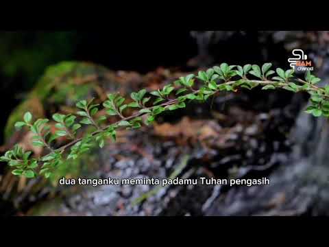 NIA DANIATY | Demi Kasihku