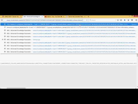 Blind SQL Injection - Turkz.org