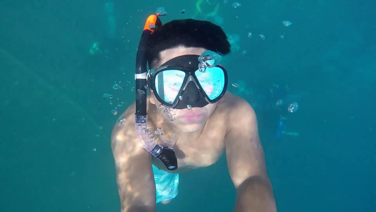 Vortex Springs, my freediving - YouTube