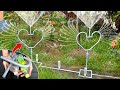 Tips to water your garden with automatic garden sprinkler | How to DIY